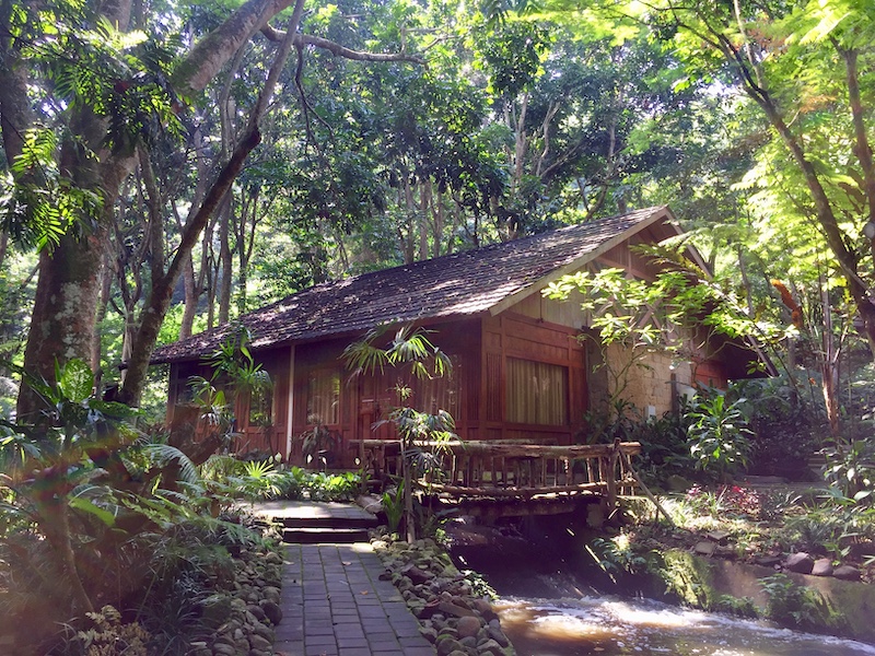 Kamar Hutan Indonesia A-Z