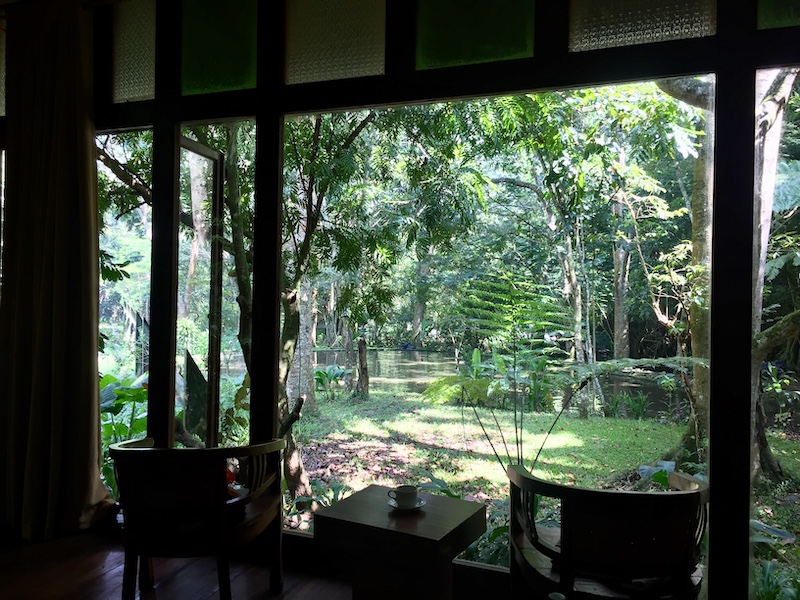 Kamar dengan Pemandangan Hutan Indonesia A-Z
