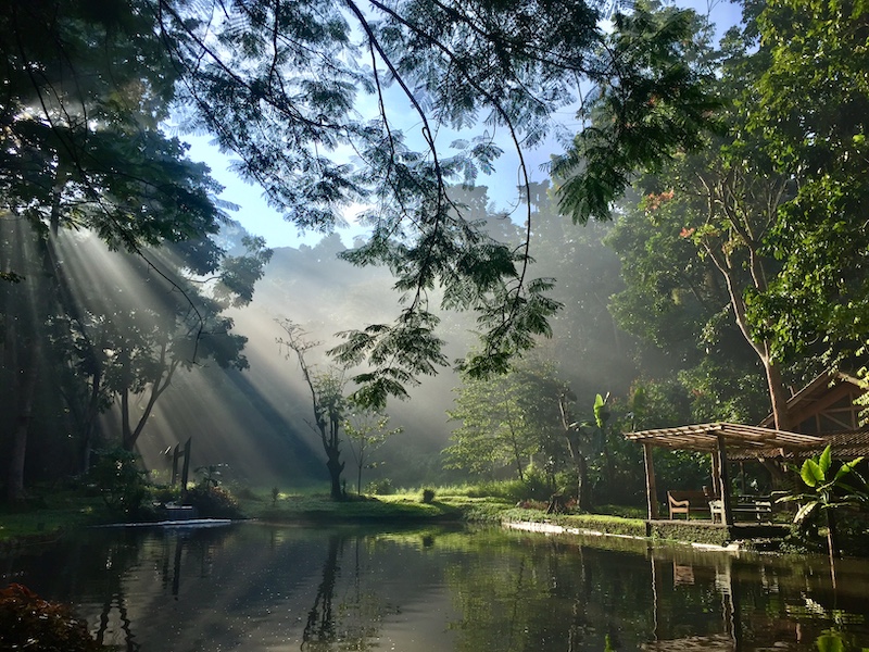 Sunrise Imah Seniman Indonesia A-Z